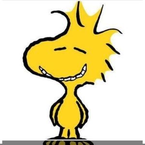 Meet your Posher, Carol